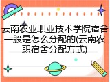 云南农业职业技术学院宿舍一般是怎么分配的(云南农职宿舍分配方式)