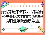 潍坊环境工程职业学院读什么专业比较有前景(潍坊环境职业学院前景专业)