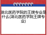 湖北医药学院的王牌专业是什么(湖北医药学院王牌专业)