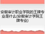 安徽审计职业学院的王牌专业是什么(安徽审计学院王牌专业)