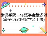 武汉学院一年奖学金最多能拿多少(武院奖学金上限)