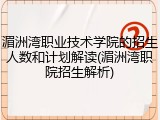 湄洲湾职业技术学院的招生人数和计划解读(湄洲湾职院招生解析)