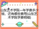 山东艺术学院一年学费多少钱，还有哪些费用(山东艺术学院学费明细)