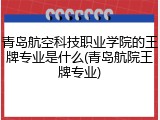 青岛航空科技职业学院的王牌专业是什么(青岛航院王牌专业)