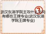 武汉东湖学院主攻什么方向有哪些王牌专业(武汉东湖学院王牌专业)