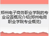 郑州电子商务职业学院的专业设置概况介绍(郑州电商职业学院专业概览)