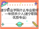 遂宁职业学院什么专业最好，一年招多少人(遂宁职院优势专业)