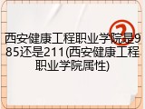 西安健康工程职业学院是985还是211(西安健康工程职业学院属性)