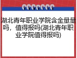 湖北青年职业学院含金量量吗，值得报吗(湖北青年职业学院值得报吗)