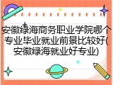 安徽绿海商务职业学院哪个专业毕业就业前景比较好(安徽绿海就业好专业)