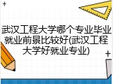 武汉工程大学哪个专业毕业就业前景比较好(武汉工程大学好就业专业)