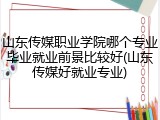 山东传媒职业学院哪个专业毕业就业前景比较好(山东传媒好就业专业)