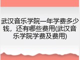 武汉音乐学院一年学费多少钱，还有哪些费用(武汉音乐学院学费及费用)