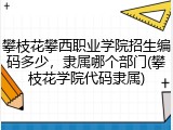 攀枝花攀西职业学院招生编码多少，隶属哪个部门(攀枝花学院代码隶属)