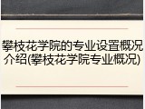 攀枝花学院的专业设置概况介绍(攀枝花学院专业概况)
