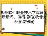 郑州软件职业技术学院含金量量吗，值得报吗(郑州软职值得报吗)