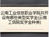 云南工业信息职业学院共开设有哪些类型奖学金(云南工信院奖学金种类)