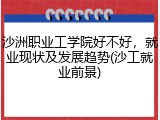 沙洲职业工学院好不好，就业现状及发展趋势(沙工就业前景)