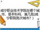 咸宁职业技术学院在哪个城市，是本科吗，第几批(咸宁职院批次城市？)