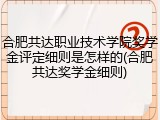合肥共达职业技术学院奖学金评定细则是怎样的(合肥共达奖学金细则)
