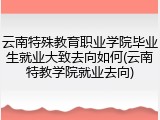 云南特殊教育职业学院毕业生就业大致去向如何(云南特教学院就业去向)