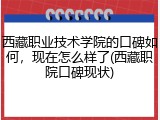 西藏职业技术学院的口碑如何，现在怎么样了(西藏职院口碑现状)
