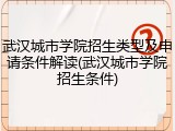 武汉城市学院招生类型及申请条件解读(武汉城市学院招生条件)