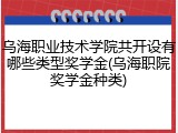 乌海职业技术学院共开设有哪些类型奖学金(乌海职院奖学金种类)