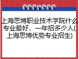 上海思博职业技术学院什么专业最好，一年招多少人(上海思博优势专业招生)