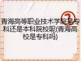 青海高等职业技术学院是专科还是本科院校呢(青海高校是专科吗)