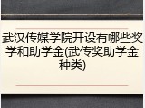 武汉传媒学院开设有哪些奖学和助学金(武传奖助学金种类)