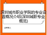 深圳城市职业学院的专业设置概况介绍(深圳城职专业概览)
