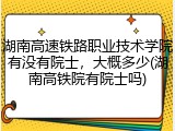 湖南高速铁路职业技术学院有没有院士，大概多少(湖南高铁院有院士吗)