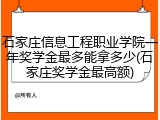 石家庄信息工程职业学院一年奖学金最多能拿多少(石家庄奖学金最高额)