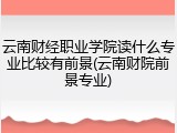 云南财经职业学院读什么专业比较有前景(云南财院前景专业)