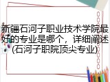 新疆石河子职业技术学院最好的专业是哪个，详细阐述(石河子职院顶尖专业)
