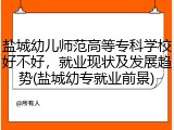盐城幼儿师范高等专科学校好不好，就业现状及发展趋势(盐城幼专就业前景)