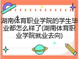 湖南体育职业学院的学生毕业都怎么样了(湖南体育职业学院就业去向)