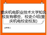 重庆机电职业技术大学知名校友有哪些，校史介绍(重庆机电校史校友)