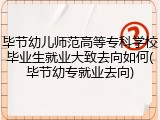 毕节幼儿师范高等专科学校毕业生就业大致去向如何(毕节幼专就业去向)