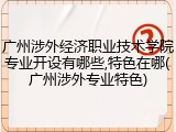 广州涉外经济职业技术学院专业开设有哪些,特色在哪(广州涉外专业特色)