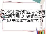 辽宁城市建设职业技术学院就读期间可以申请哪些奖学金(辽宁城建学院奖学金)