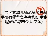 西昌民族幼儿师范高等专科学校有哪些奖学金和助学金呢(西昌幼专奖助学金)