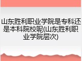 山东胜利职业学院是专科还是本科院校呢(山东胜利职业学院层次)