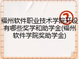 福州软件职业技术学院开设有哪些奖学和助学金(福州软件学院奖助学金)