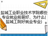 盐城工业职业技术学院哪些专业就业前景好，为什么(盐城工院好就业专业)