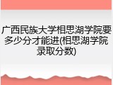 广西民族大学相思湖学院要多少分才能进(相思湖学院录取分数)