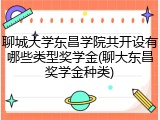 聊城大学东昌学院共开设有哪些类型奖学金(聊大东昌奖学金种类)