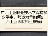 广西工业职业技术学院有多少学生，师资力量如何(广西工业职院师生规模)