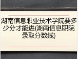 湖南信息职业技术学院要多少分才能进(湖南信息职院录取分数线)